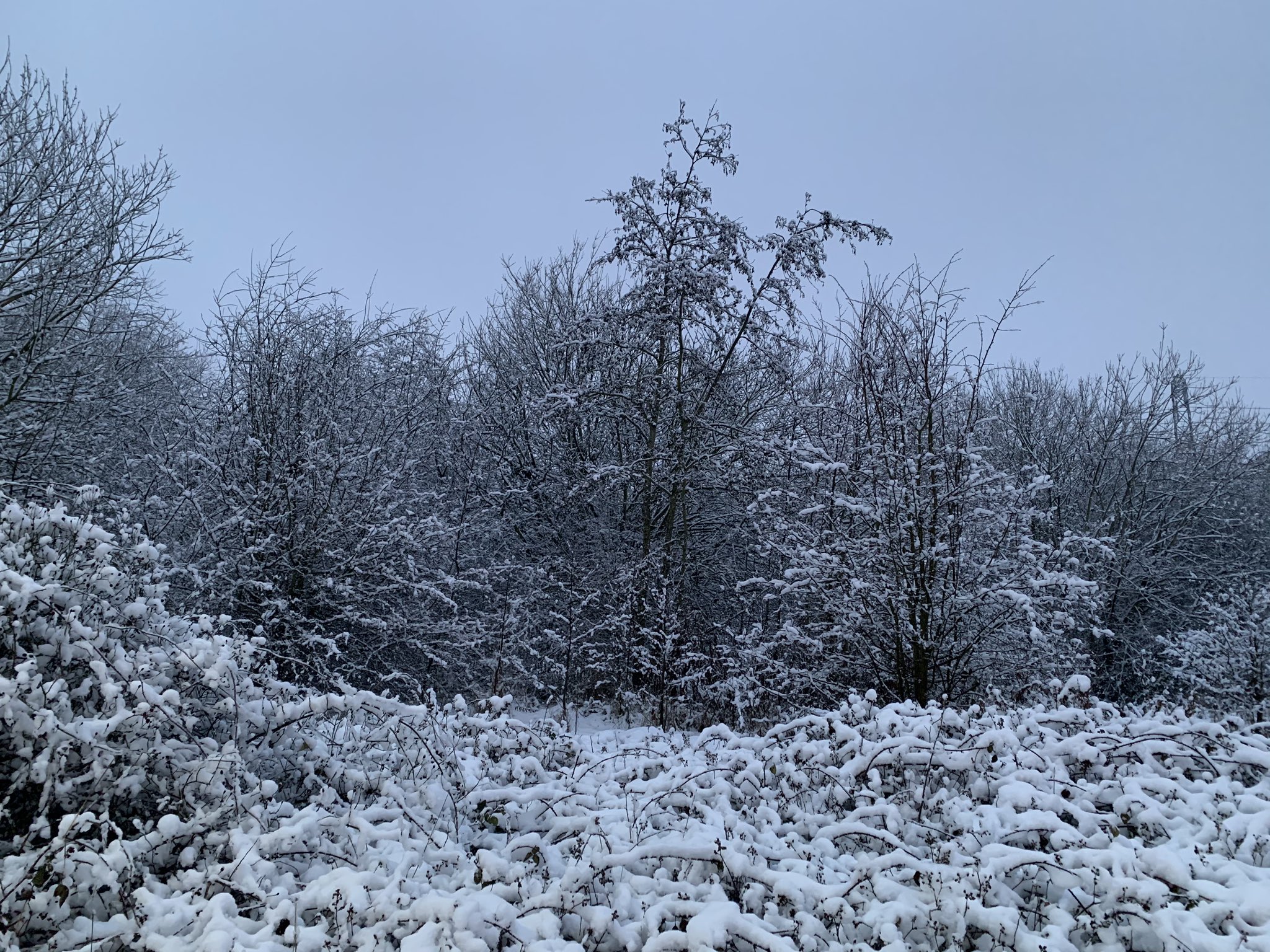 The Battle for Owlthorpe Fields: The struggle for the future of Sheffield’s Green Spaces