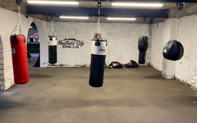 Covid-19 leaves amateur boxing fighting for survival