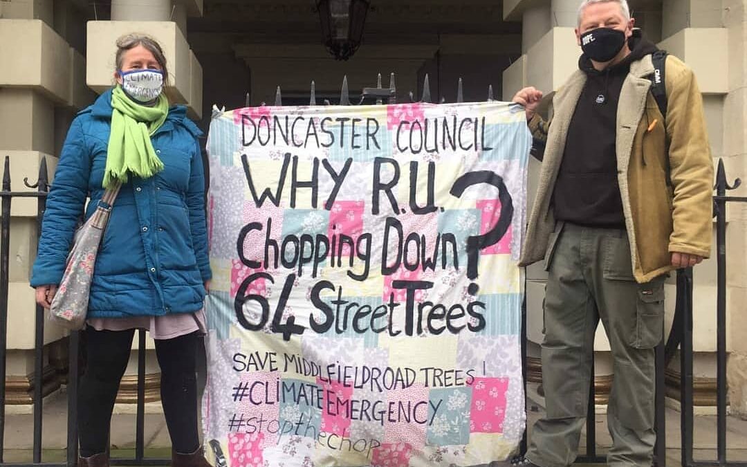 Doncaster Council updates tree strategy following protests