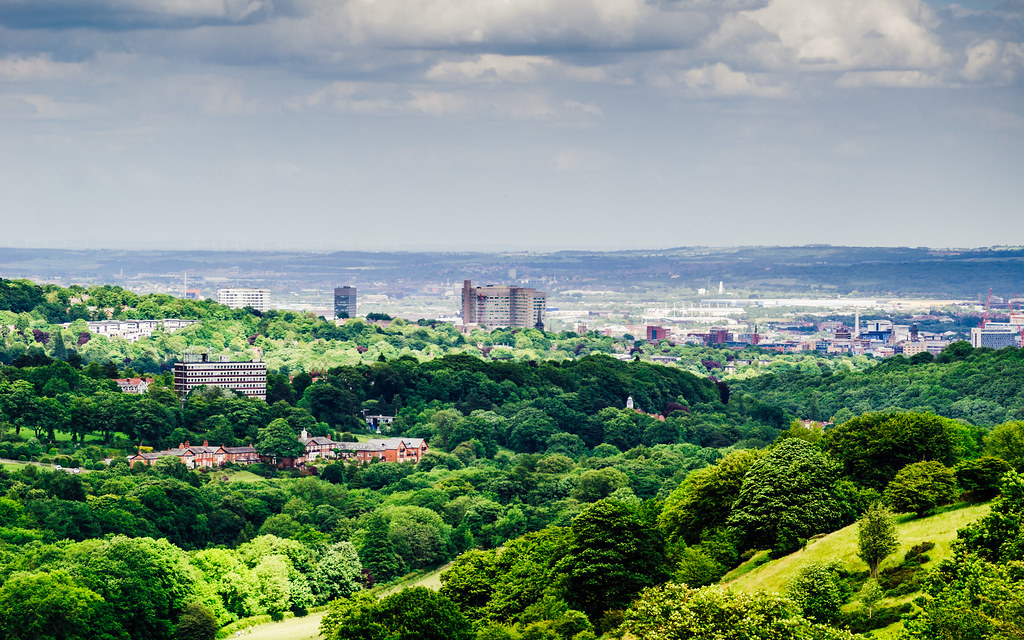 Sheffield takes visionary new approach towards caring for its trees