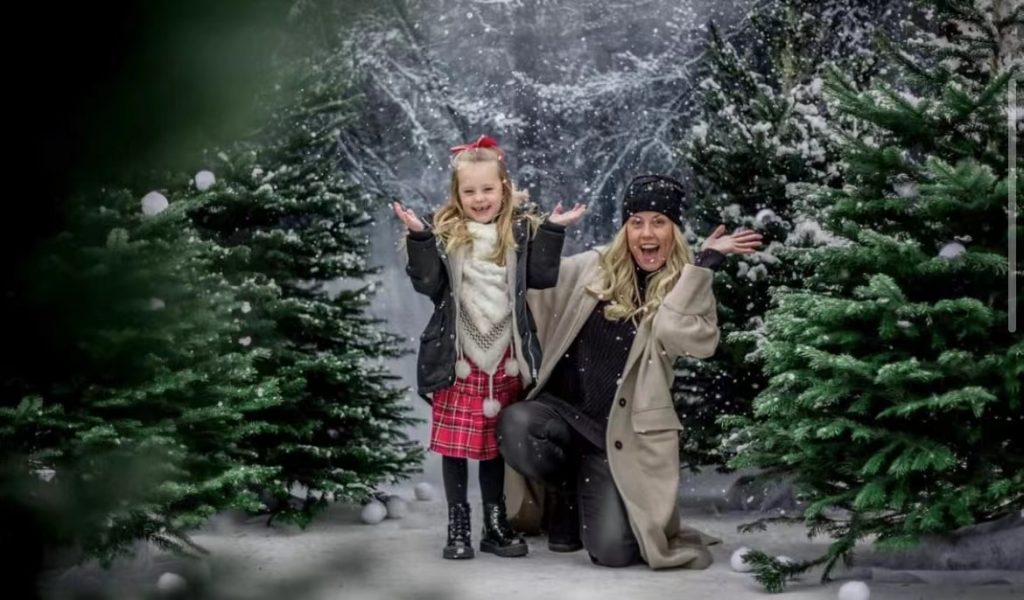 Sheffield photographer sets up christmas scene on her driveway