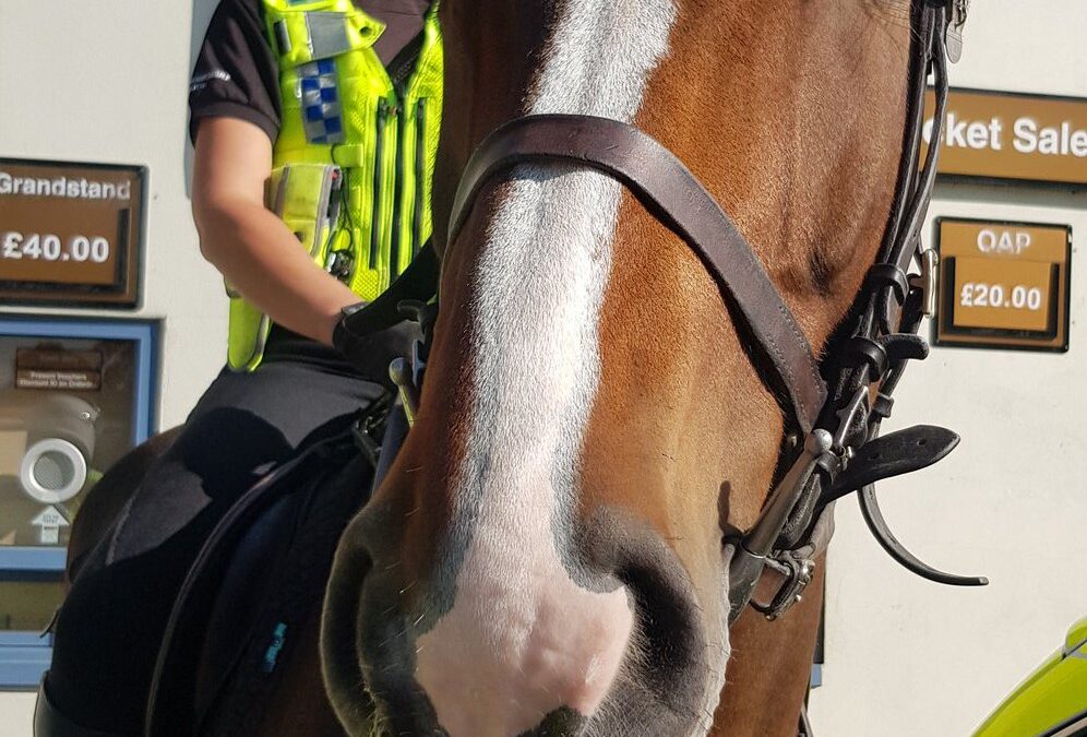 “Perfect in every way”: South Yorkshire Police pay tribute to Police horse Hoober