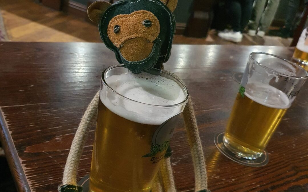 Lost monkey reunited with his canine companion after a wild night out with Sheffield students