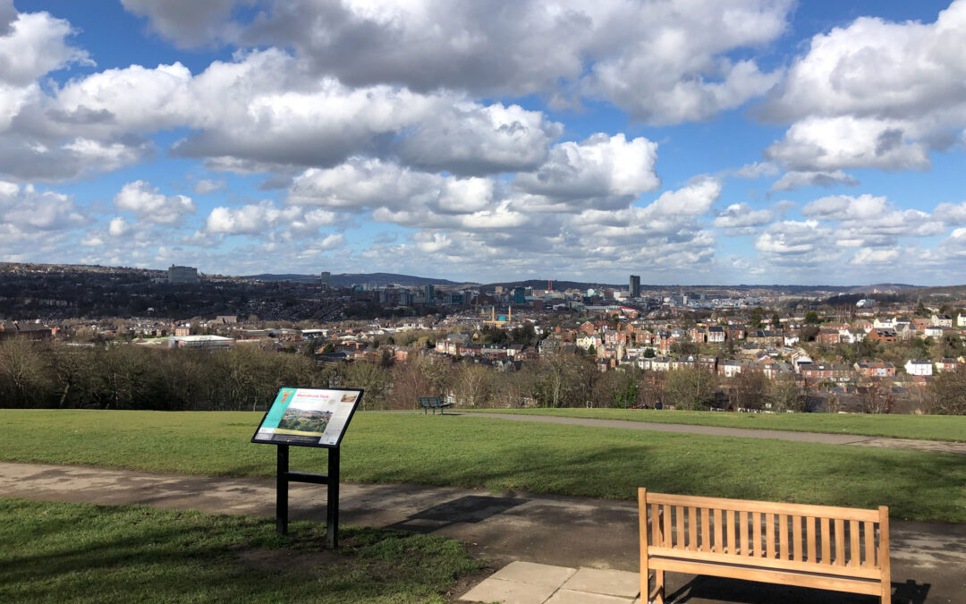 Ricky Gervais ‘After Life’ bench plaque in Meersbrook Park stolen hours after unveiling