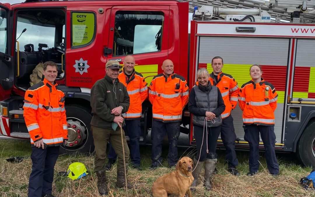 “Survivor” Red Fox Lab has returned home safe after being stuck in mine shaft for days