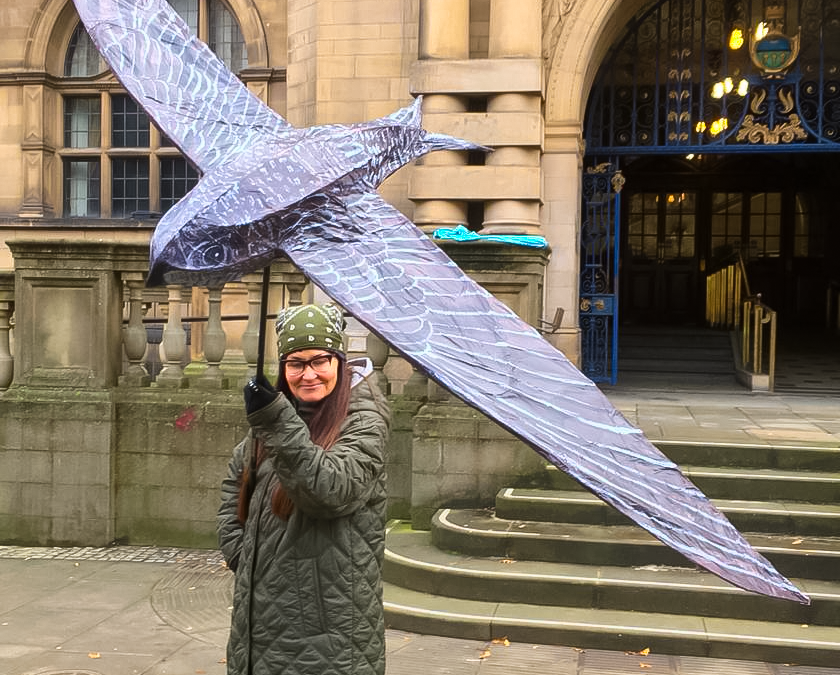 Yorkshire wildlife guide raising £3,500 to protect Sheffield swifts