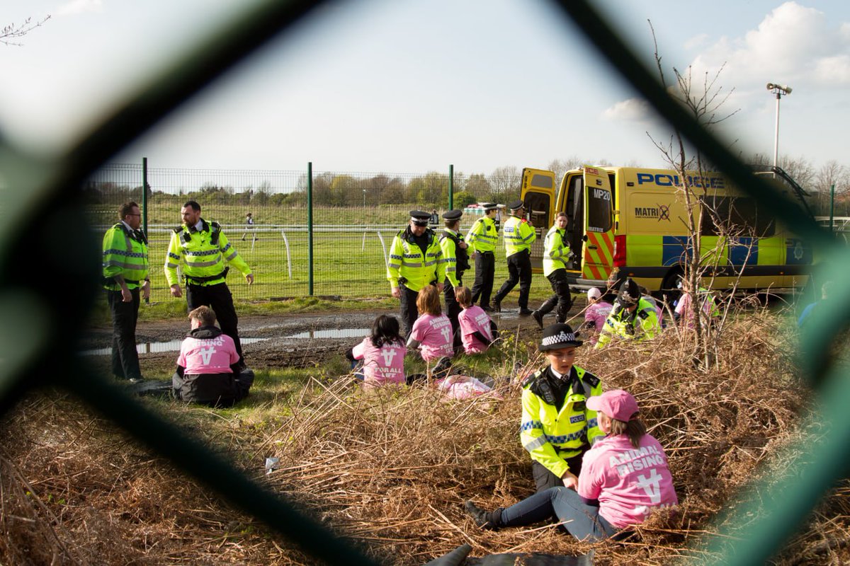 Aintree: Has the Grand National run its course?