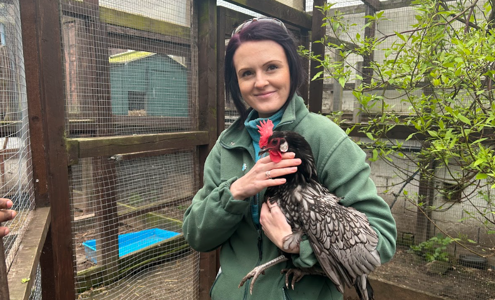 “I’m not convinced that bird flu has gone, or will ever go” – Sheffield farm conflicted over lifting of bird flu restrictions
