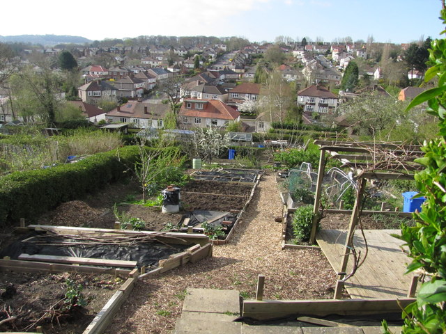 Sheffield allotments are “un-walkable, unfriendly, and inaccessible”