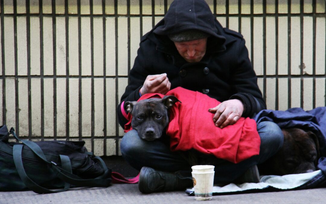 Local charity exhibition shows real-life stories of Sheffield’s homeless