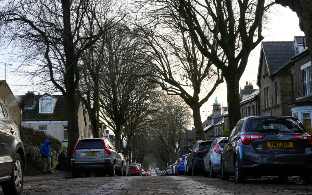 Urban Tree Festival honours Sheffield’s green champions