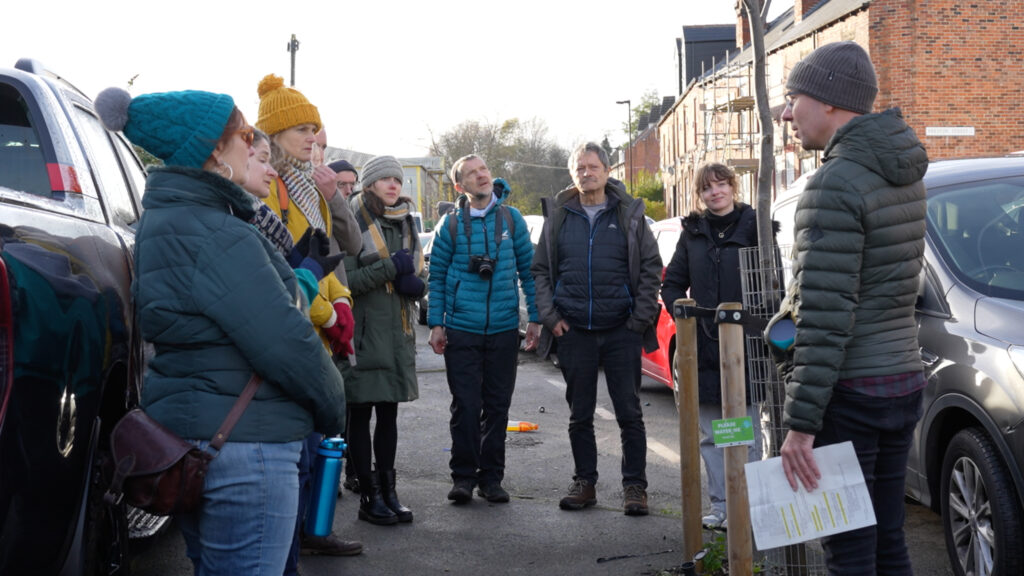 A group of people gather around a newly planted street tree