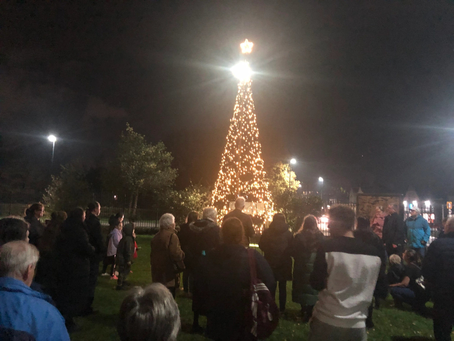 A picture of people gathered around one of the previous the Tree Of Hope (2022)