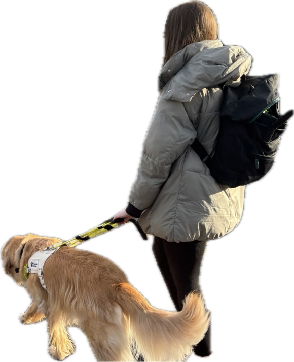 Emily Lamb walking with her guide dog Garth