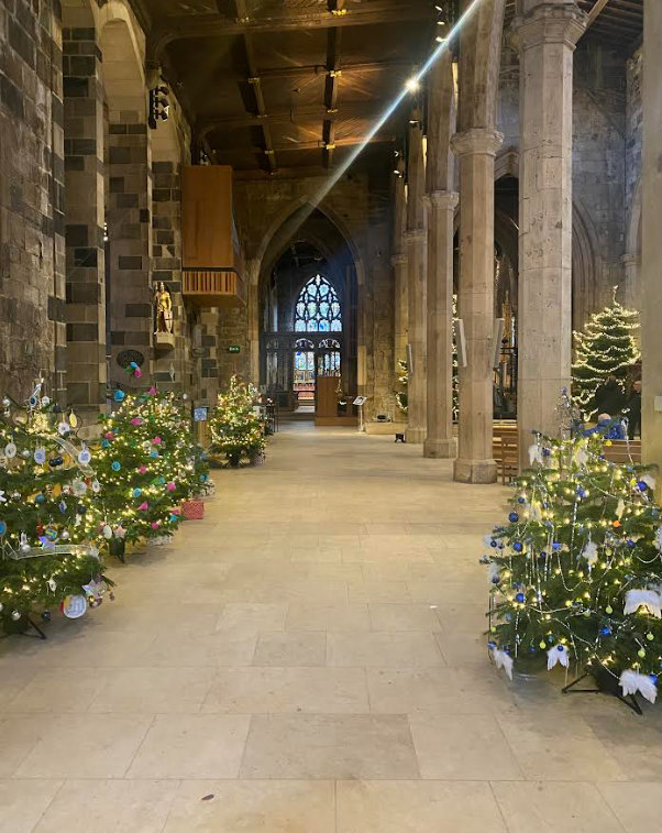 Christmas Trees in Sheffield Cathedral, Credit: Jack Evans