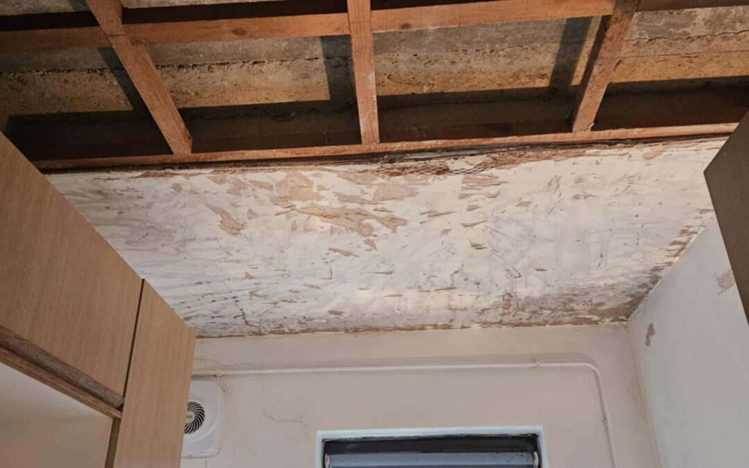 ‘Why should I have to live like this?’ The hidden mental toll of social housing