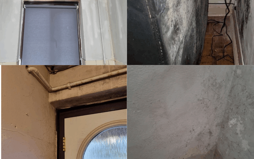 Mould, damp and a lack of provision: the state of Britain’s social housing