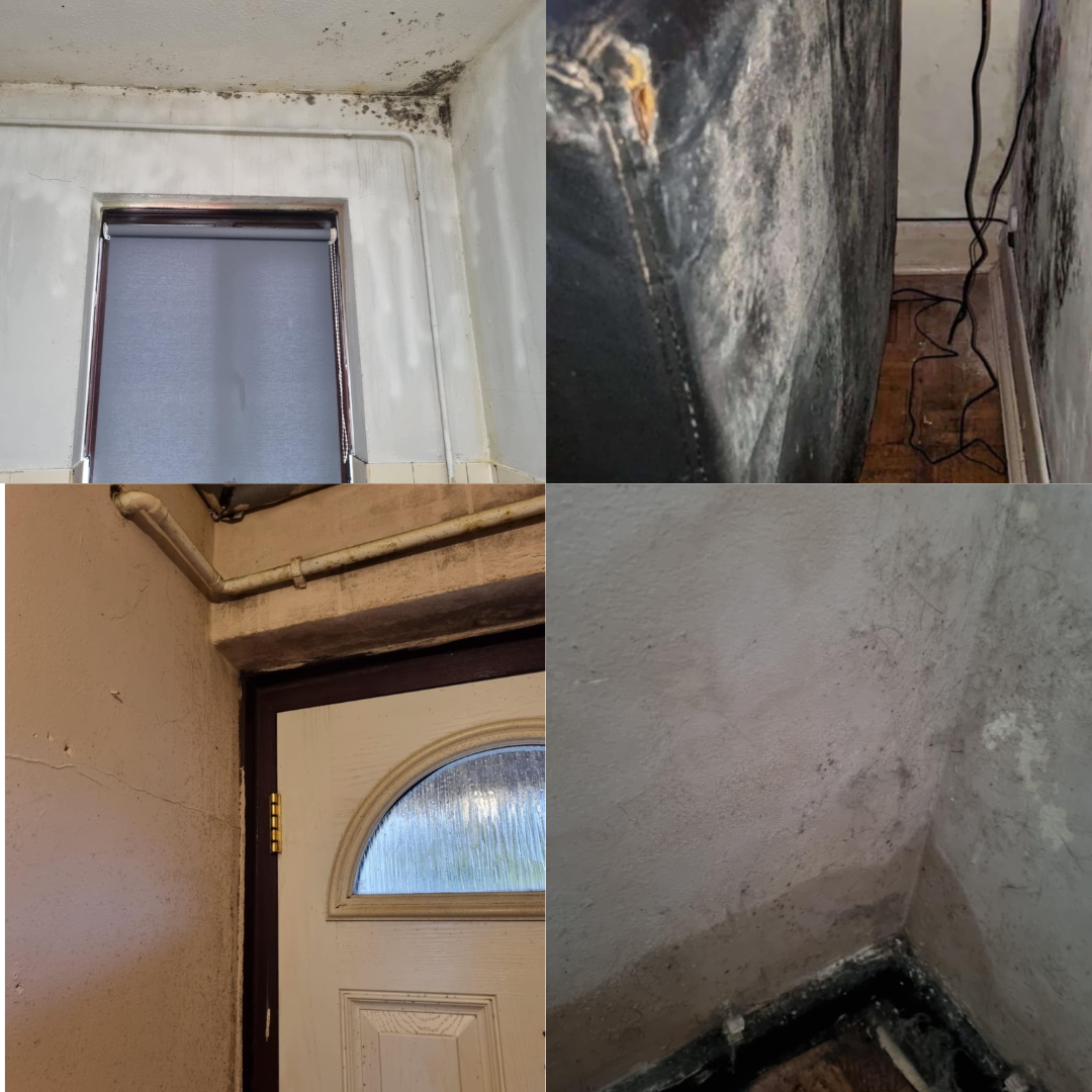 Mould, damp and a lack of provision: the state of Britain’s social housing