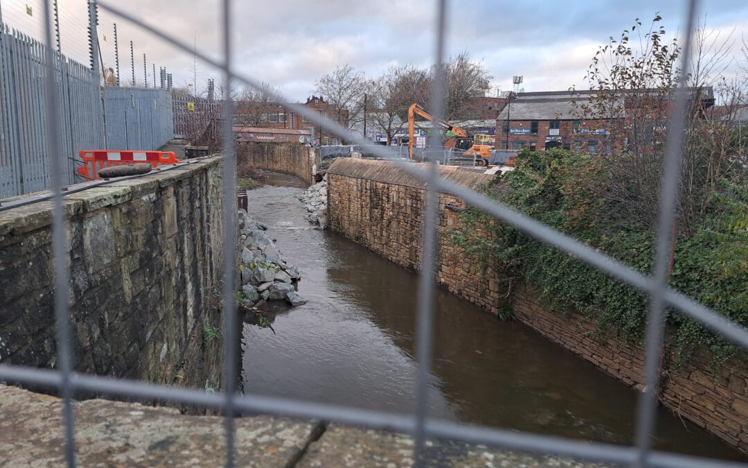 Today on Sheffield Wire