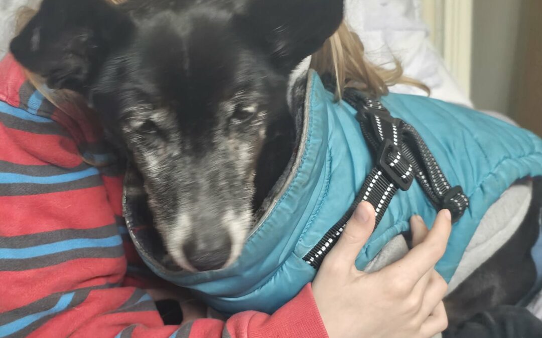 Ten-year-old boy taking on charity walk for animal charity