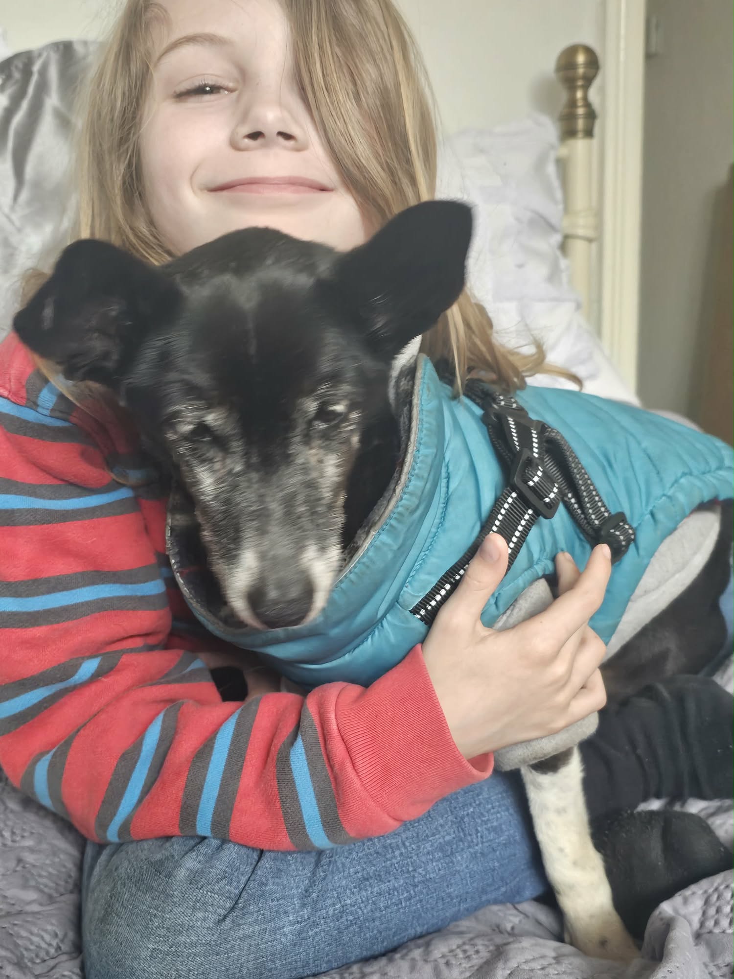 Ten-year-old boy taking on charity walk for animal charity