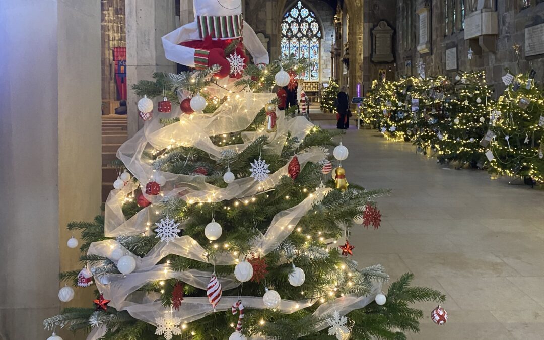 “It’s such a nice surprise to see them”: Christmas tree festival lights up Cathedral and enchants visitors