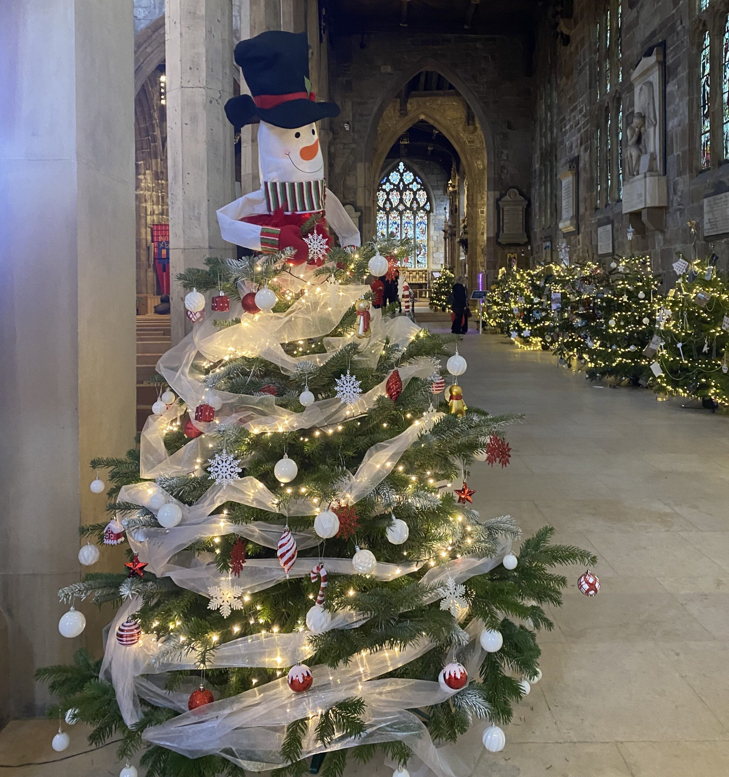 “It’s such a nice surprise to see them”: Christmas tree festival lights up Cathedral and enchants visitors