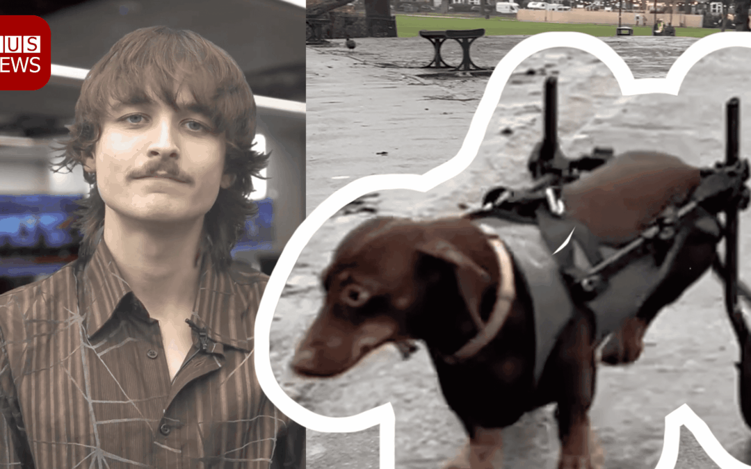 JUS News Afternoon Bulletin, 5th December 2025