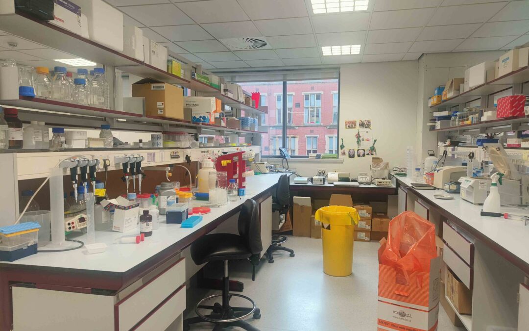 University of Sheffield company fighting against animal testing turns two