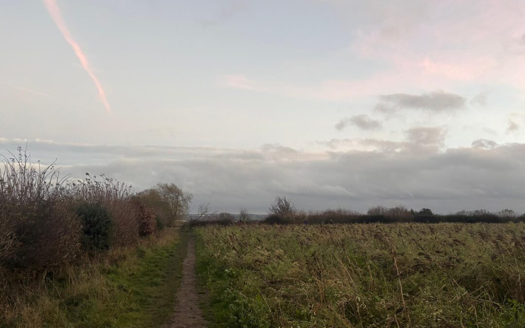 Wildlife concerns grow over Sheffield green belt development