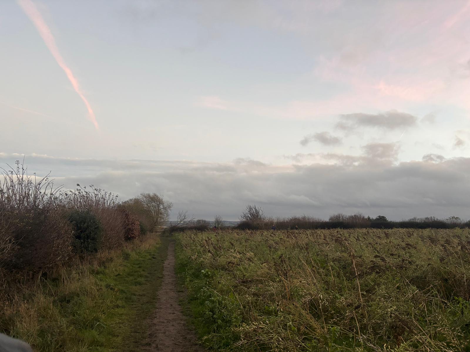 Wildlife concerns grow over Sheffield green belt development