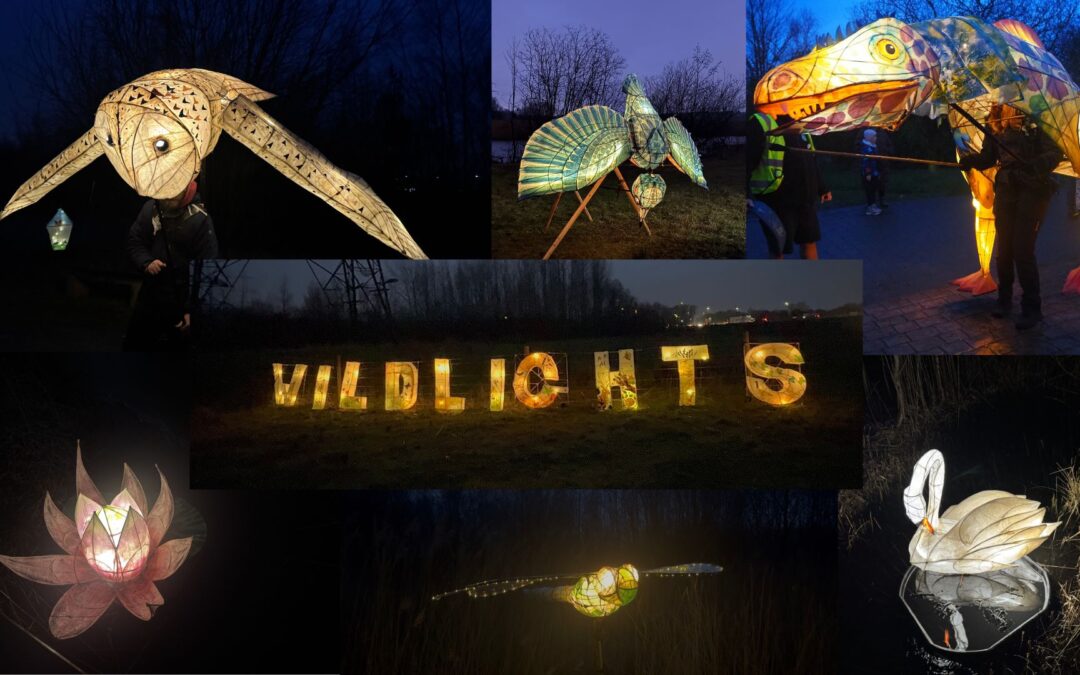 Spring themed lantern show lights up the night at nature reserve