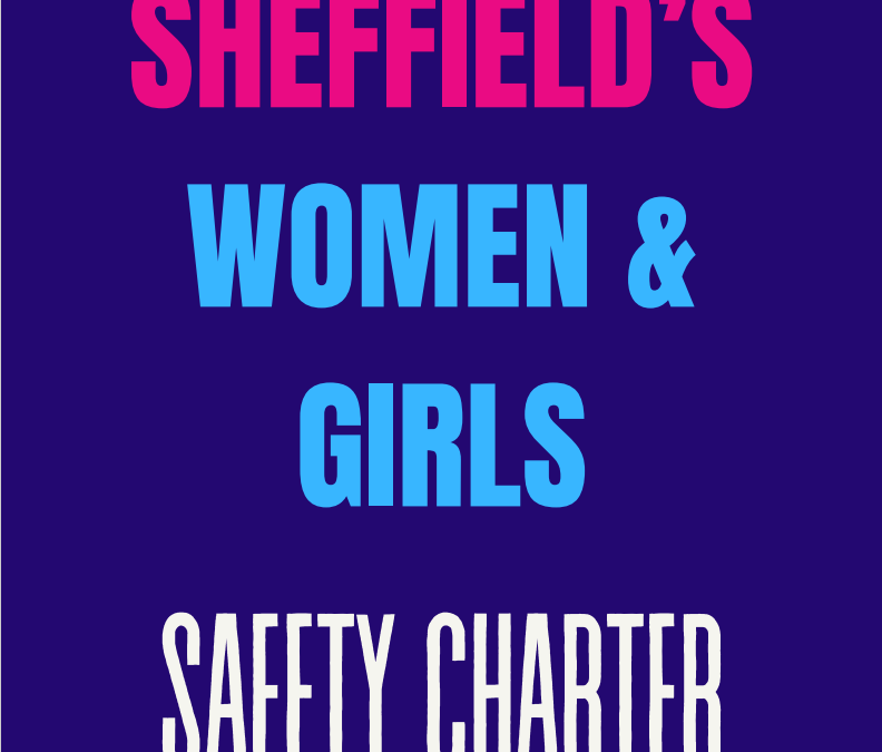Women and Girls Safety Charter: hope for Sheffield women or surface level promise?