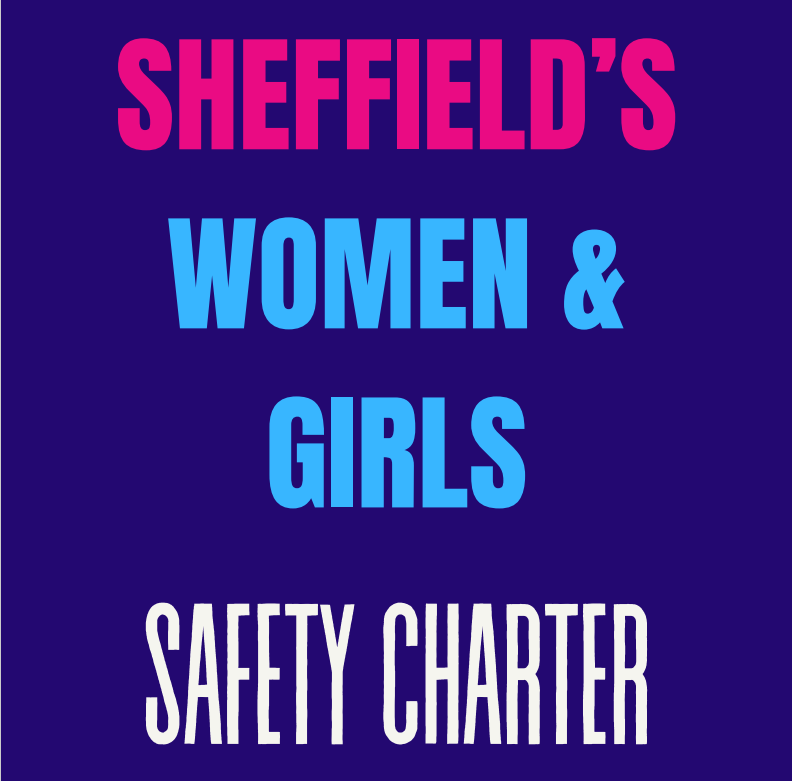 Women and Girls Safety Charter: hope for Sheffield women or surface level promise?