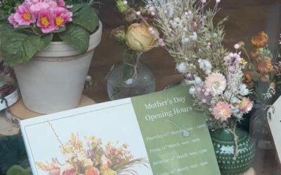 Flower shops bloomed with an increase in orders for Mother’s Day