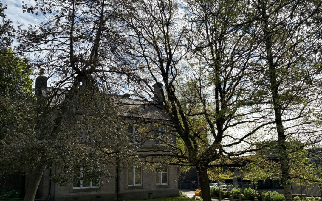 Hallam nursery set to close amidst financial challenges