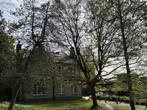 Hallam nursery set to close amidst financial challenges