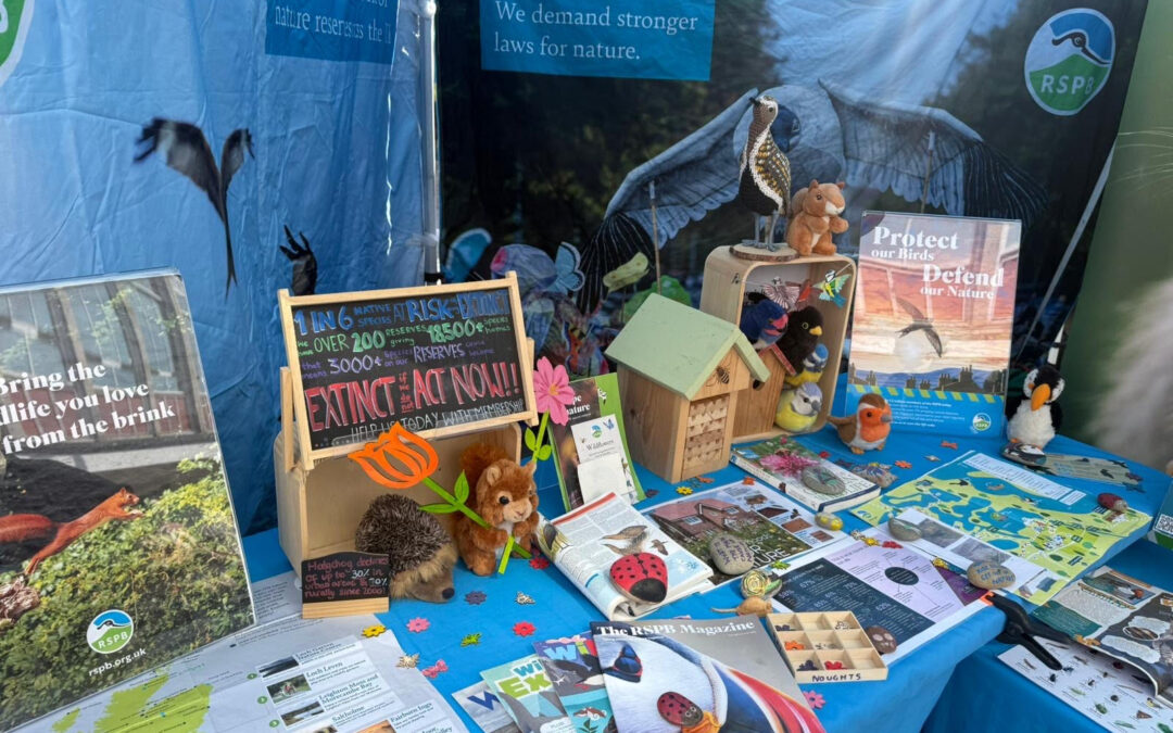 Sheffield vegan market celebrates growth of eco-friendly community