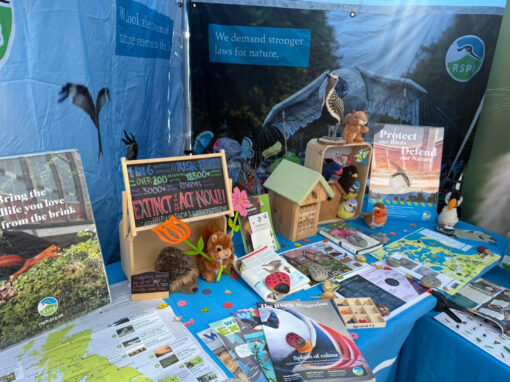 Sheffield vegan market celebrates growth of eco-friendly community